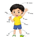 Download Gratis Contoh Gambar Poster Pendidikan untuk Belajar Anak PAUD, TK dan SD